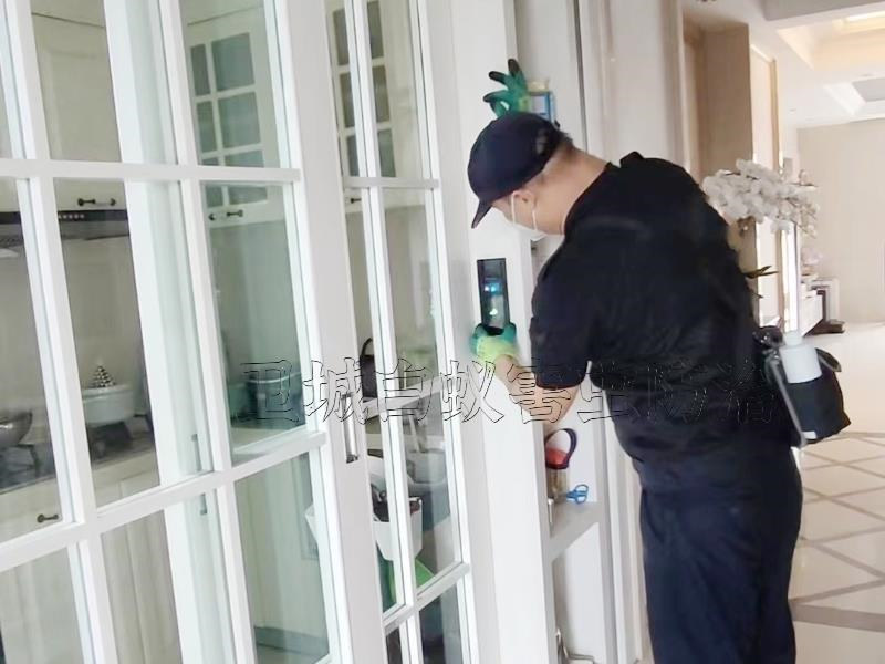 白蟻品級-蟻王蟻后分雌雄兩性,澳頭白蟻防治